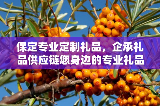 保定专业定制礼品，企承礼品供应链您身边的专业礼品定制公司
