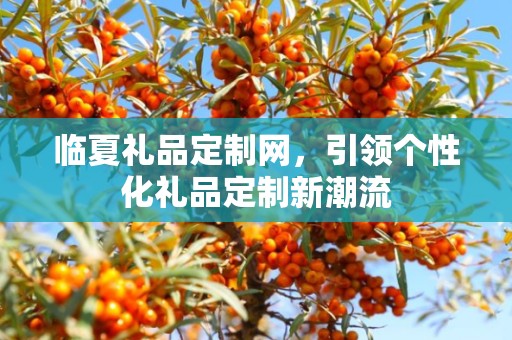 临夏礼品定制网，引领个性化礼品定制新潮流
