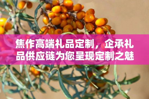 焦作高端礼品定制，企承礼品供应链为您呈现定制之魅力