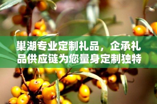 巢湖专业定制礼品，企承礼品供应链为您量身定制独特礼品