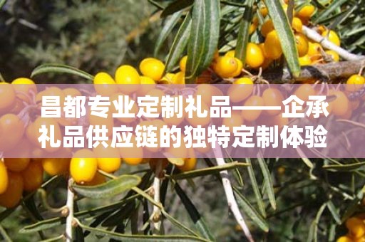 昌都专业定制礼品——企承礼品供应链的独特定制体验